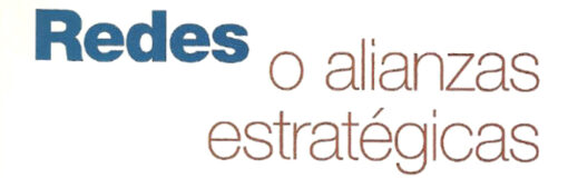 Redes y alianzas estratégicas