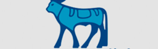 Novo Nordisk fideliza the international media