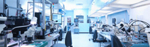 Purissimus, planta parada