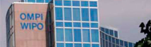 CILFA, con silla en la OMPI