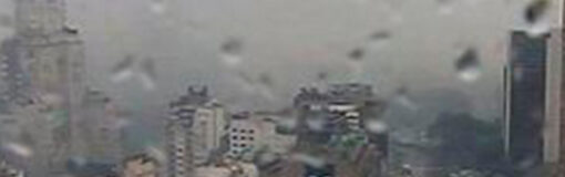 Bayer deslinda responsabilidades