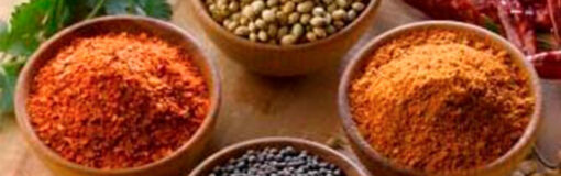 Anvisa: reglas para fitoterápicos