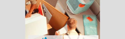 Temis y LKM, de mudanza