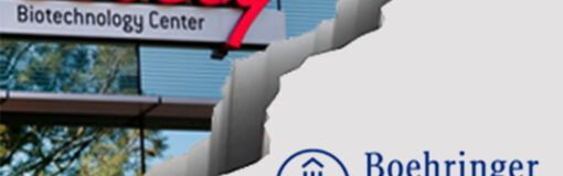 Lilly y B.I: break en Argentina