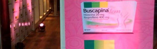 Buscapina y el mundo Fem