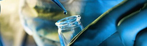 Gobierno crea BioSur, empresa mixta