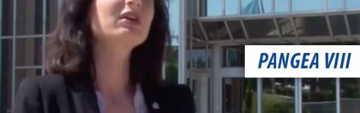 Operación Pangea VIII