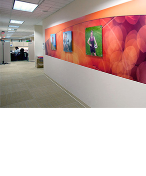 MSD, oficinas copadas