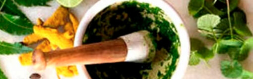 Fitoterápicos: nuevas reglas ANMAT