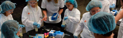 GSK: inmersión con niños