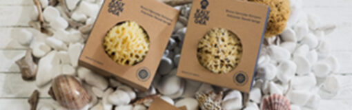 Esponjas marinas y griegas