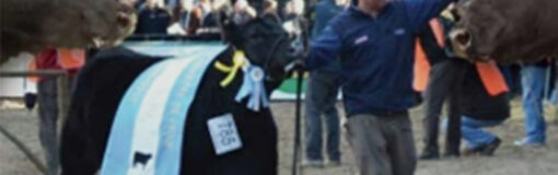 Sigman a lo polirrubro, agro