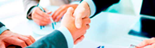 Temis suma línea ex Bayer