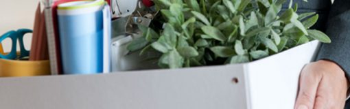 Allergan saca la tijera, EE.UU.