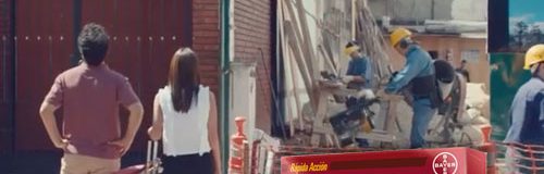 Bayer: sigue la saga