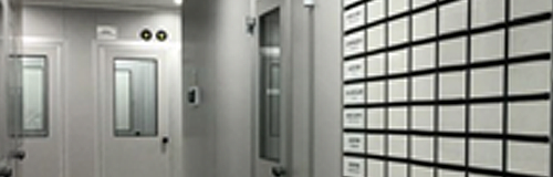 Ferring aprobó Mercosur, planta