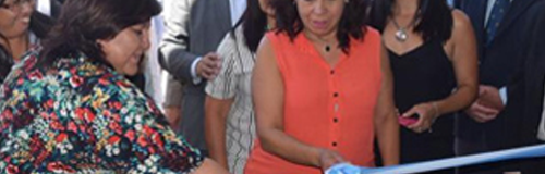 Medicamentos Estatales, Profarse