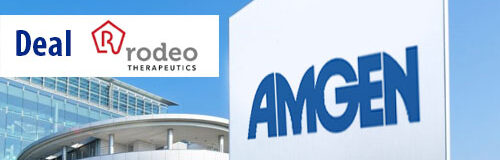 Amgen compra Rodeo Therapeutics