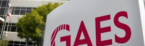 GAES: estrategia de MKT y testeo