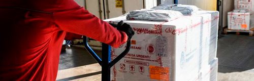 Sputnik V: informe de distribución