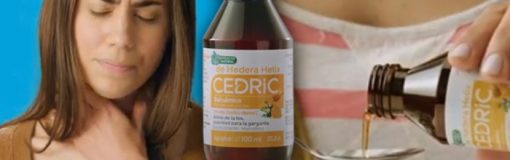 Cedric con campaña invernal