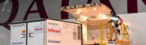 Sinopharm: tercer vuelo de la semana