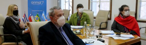 ANMAT y OPS: reunión regional, COVID-19