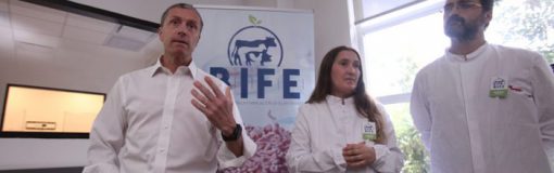 Craveri avanza con B.I.F.E.