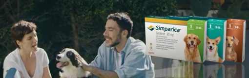 Zoetis con nuevo comercial Simparica