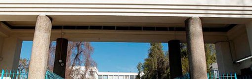 Chile desarrolla vacuna streptococcus