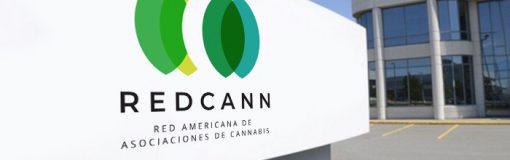 RedCann: surgió red cannabis, Latam