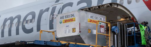 Vacunas: 1,3% del contrato con Pfizer