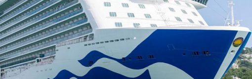 ANVISA: protocolo cruceros, Brasil