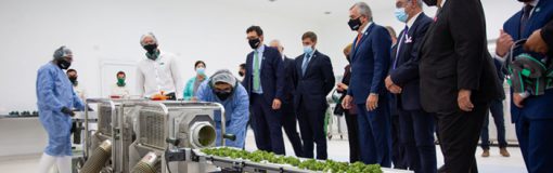 Jujuy con complejo bio, cannabis