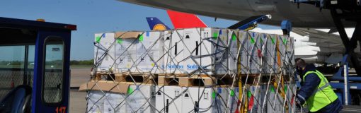 Vacunas Pfizer: 88,35% al momento