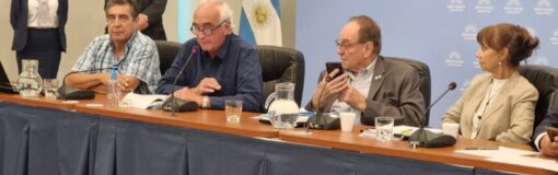 Peidró en Diputados: acuerdo FMI, postura