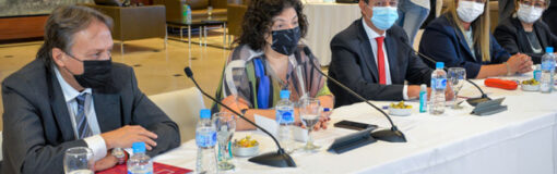 Vizzotti en reunión CORESA, Cuyo