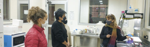 Producción Pública de Medicamentos, orugas