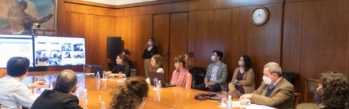 Cannabis: reunión con Vizzotti y Consejo