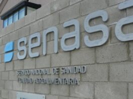 Aftosa: estrategia oficial con menos vacunas