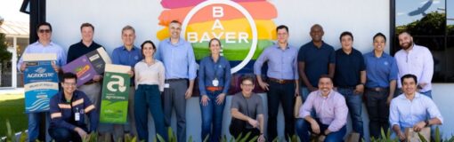 Bayer Brasil con visitas globales