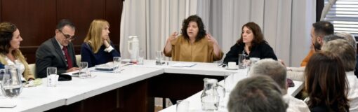 Vizzotti en Consejo Asesor, Medicamentos