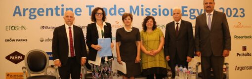 Salud y Cancilleria: misión en Egipto