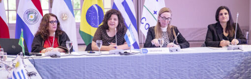 Vizzotti con ministros del Mercosur