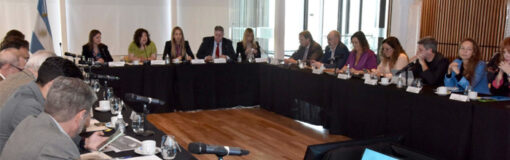 COFESA: nueva reunión, Vizzotti