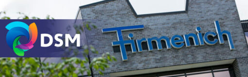 Fusión Fimernich-DSM: día 1