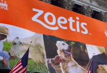 Zoetis compra VitalRADS, diagnóstico