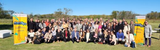 Siegfried lanzó Acemuk Grip