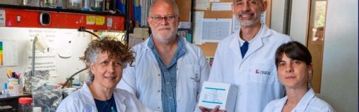 CONICET desarrolla test para dengue