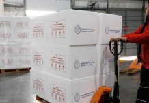 Salud envía vacunas sarampión y rubéola